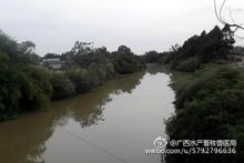 自治区水产畜牧兽医局六大举措治理畜禽养殖污染初见成效