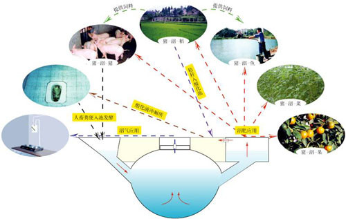 “猪-沼-果”等“三结合”生态农业模式 - 富硒帮 - 富硒帮物理农业博客