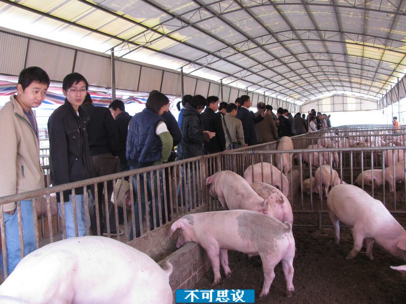 dvubb 按此在新窗口浏览图片