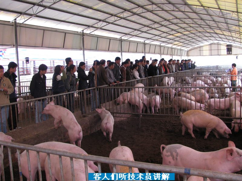 dvubb 按此在新窗口浏览图片