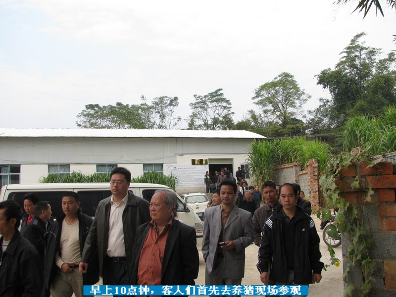 dvubb 按此在新窗口浏览图片