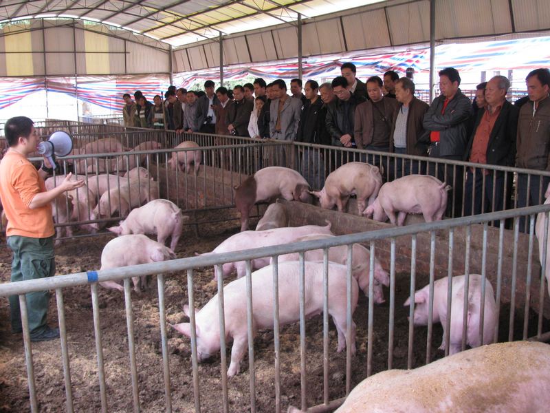 dvubb 按此在新窗口浏览图片