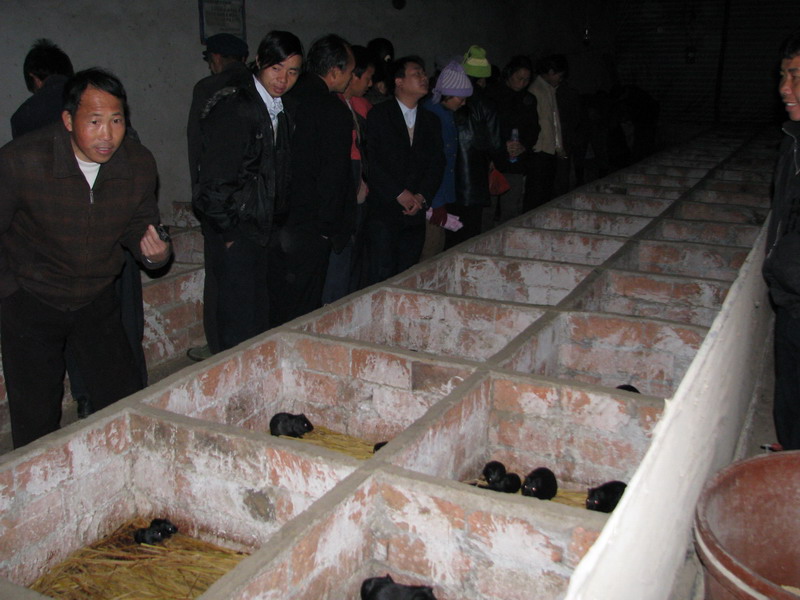 dvubb 按此在新窗口浏览图片