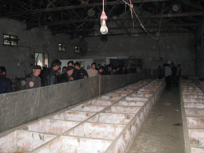 dvubb 按此在新窗口浏览图片