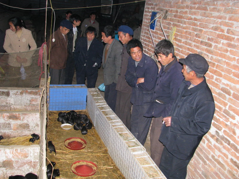 dvubb 按此在新窗口浏览图片