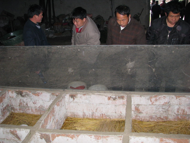 dvubb 按此在新窗口浏览图片