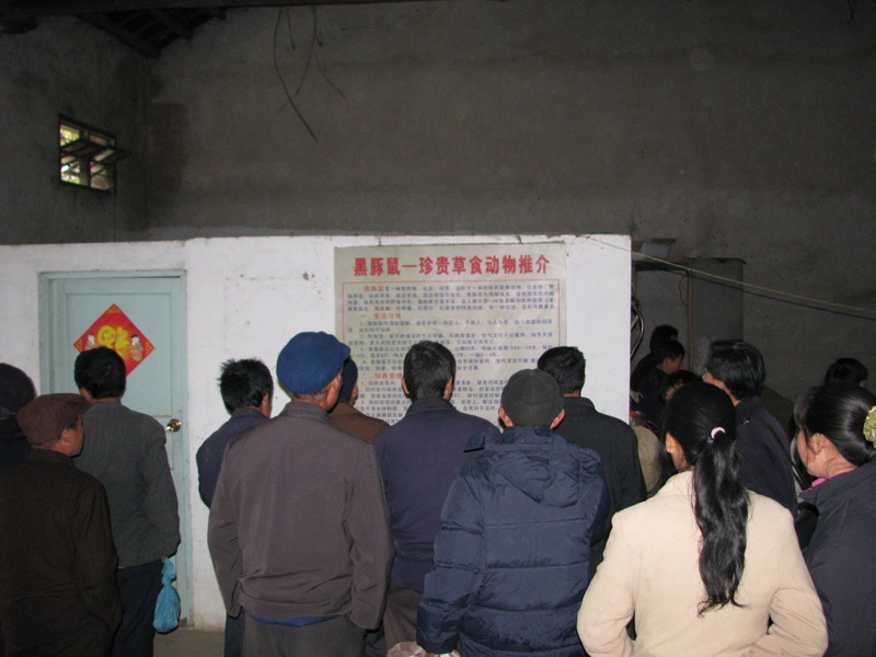 dvubb 按此在新窗口浏览图片