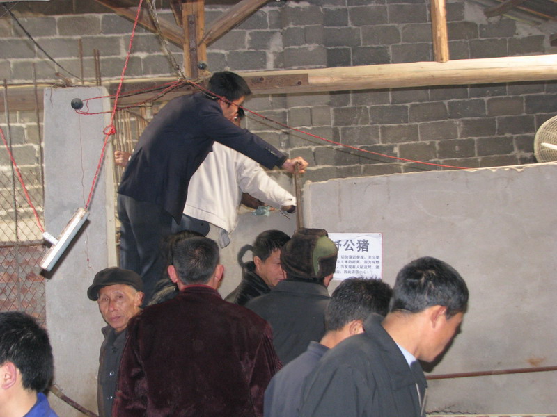 dvubb 图片点击可在新窗口打开查看