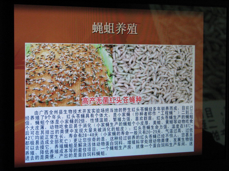 dvubb 按此在新窗口浏览图片