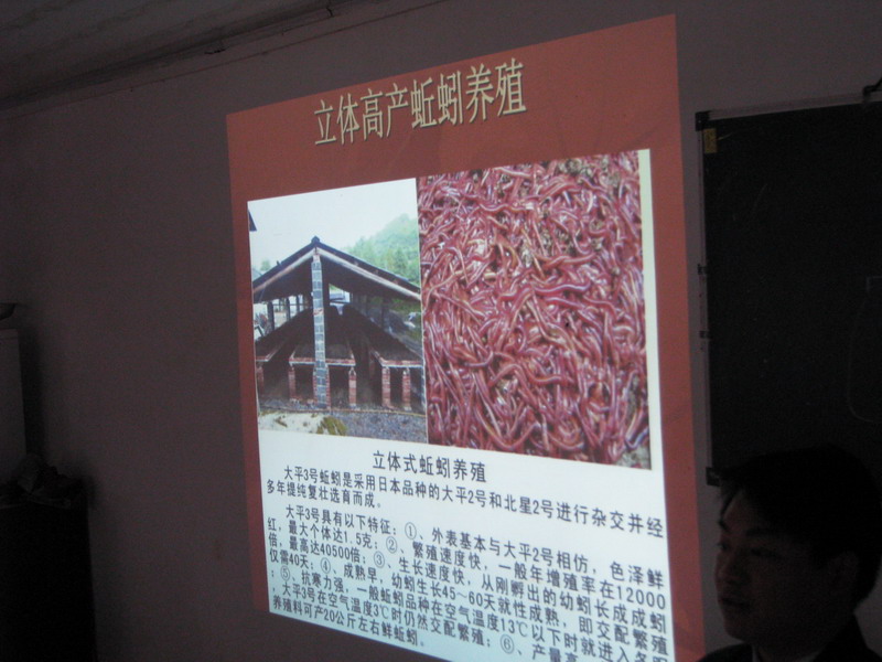 dvubb 按此在新窗口浏览图片