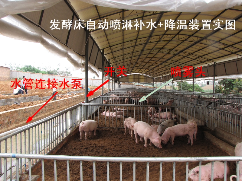dvubb 按此在新窗口浏览图片