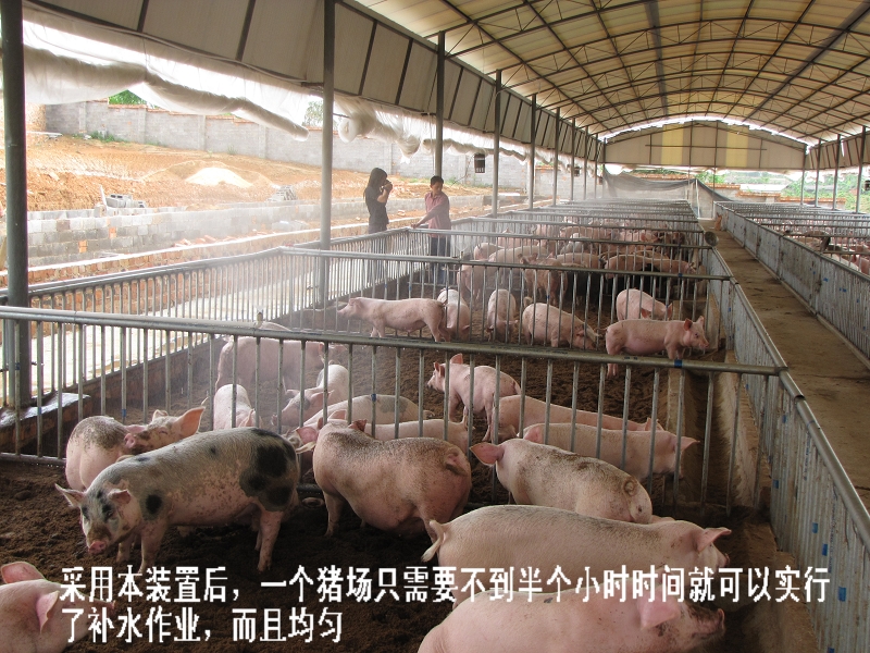 dvubb 按此在新窗口浏览图片