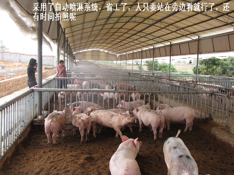 dvubb 按此在新窗口浏览图片