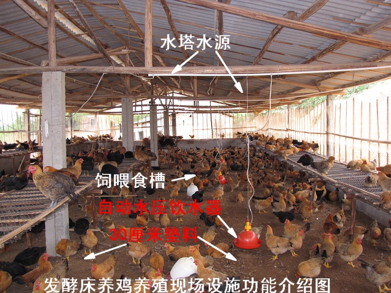 dvubb 按此在新窗口浏览图片