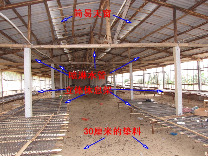 dvubb 按此在新窗口浏览图片