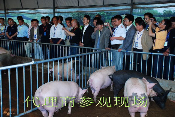 dvubb 按此在新窗口浏览图片