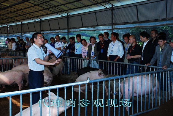 dvubb 按此在新窗口浏览图片