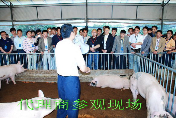 dvubb 按此在新窗口浏览图片