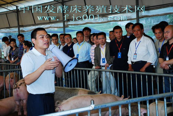 dvubb 按此在新窗口浏览图片