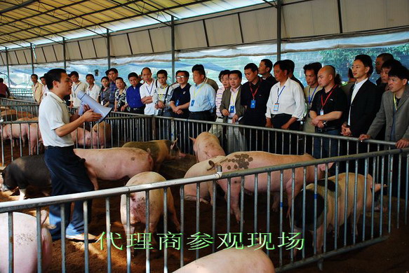 dvubb 按此在新窗口浏览图片