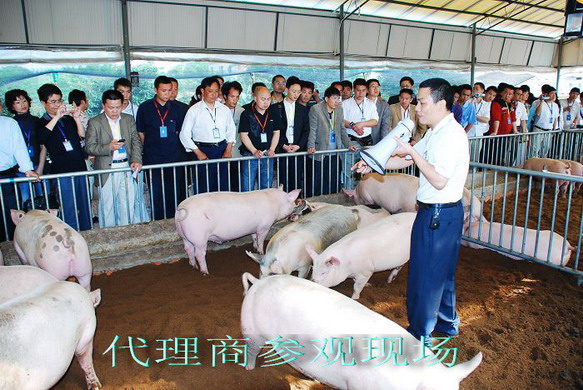 dvubb 按此在新窗口浏览图片