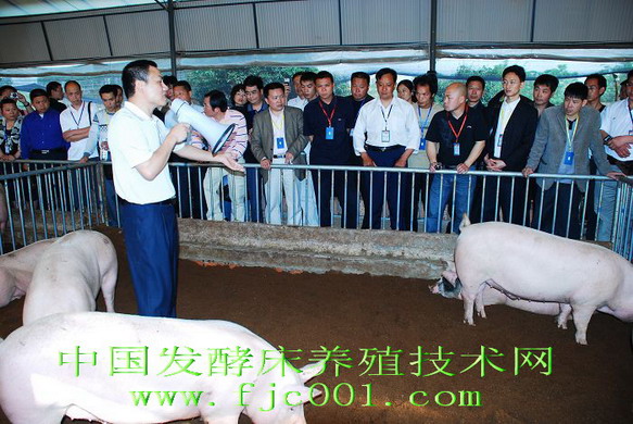 dvubb 按此在新窗口浏览图片