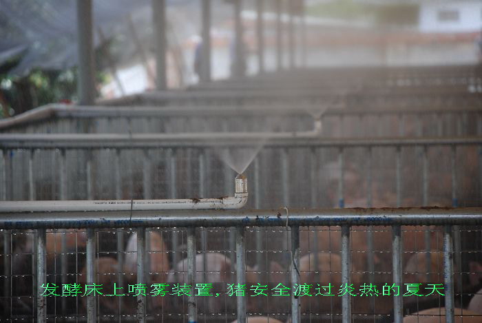 dvubb 按此在新窗口浏览图片