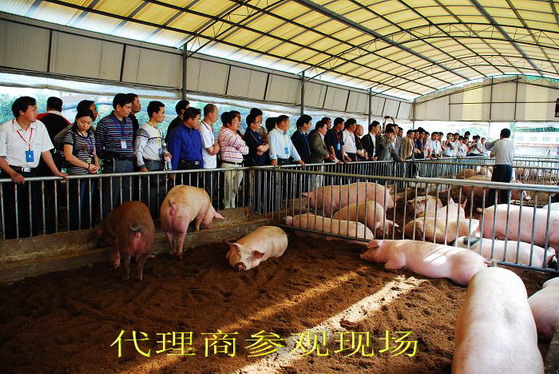 dvubb 按此在新窗口浏览图片