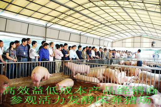 dvubb 按此在新窗口浏览图片