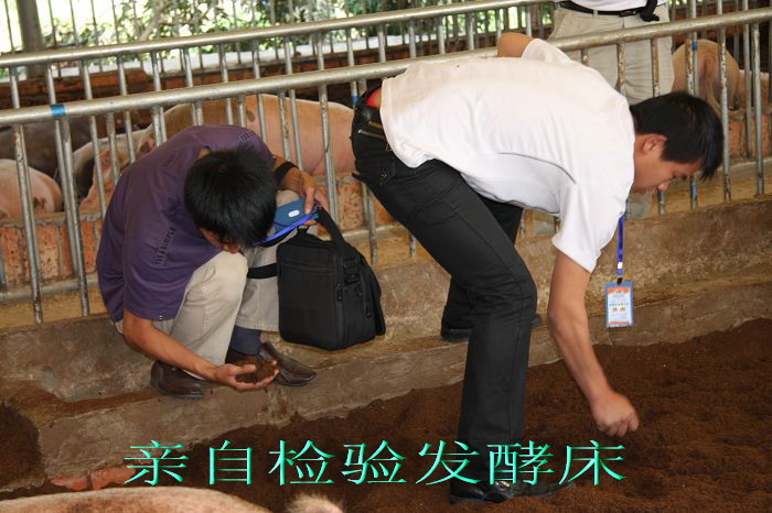 dvubb 按此在新窗口浏览图片