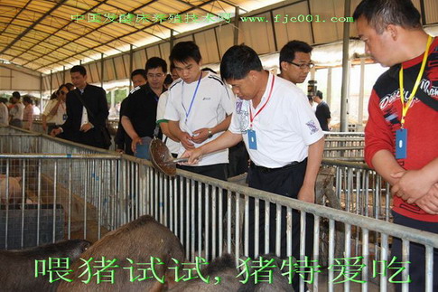 dvubb 按此在新窗口浏览图片