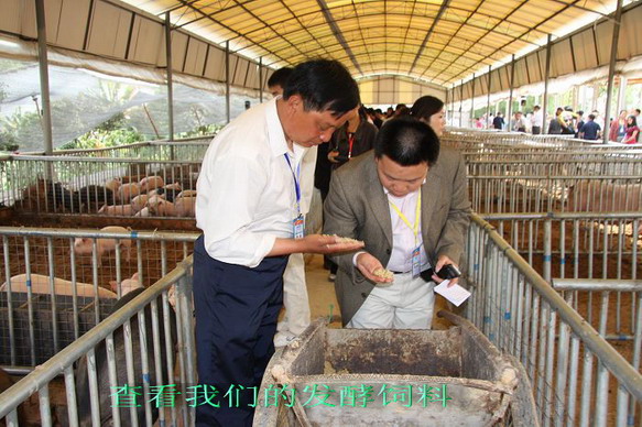 dvubb 按此在新窗口浏览图片