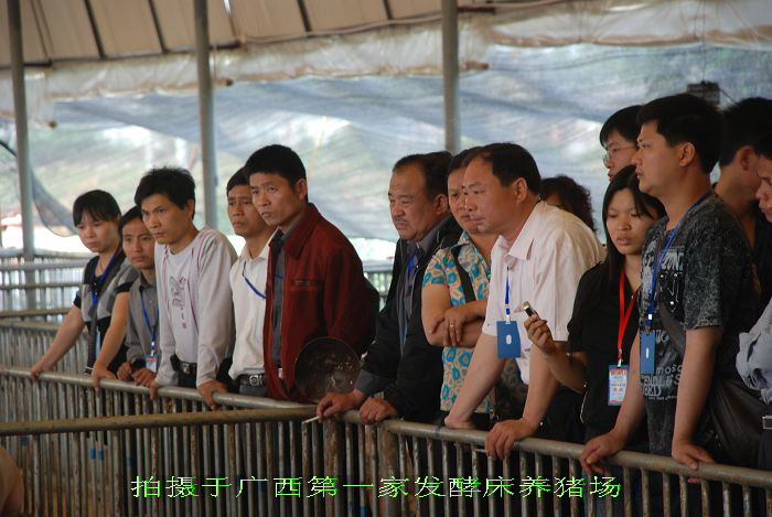 dvubb 按此在新窗口浏览图片