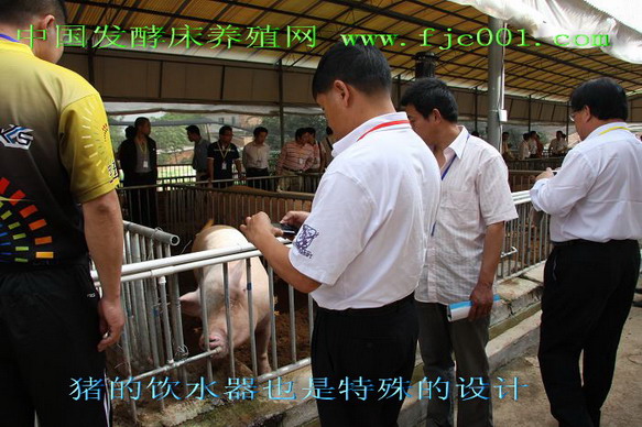 dvubb 按此在新窗口浏览图片