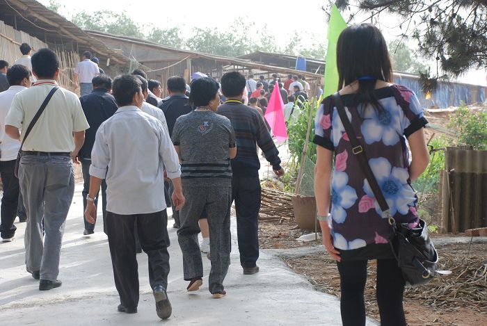 dvubb 按此在新窗口浏览图片