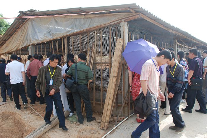 dvubb 按此在新窗口浏览图片