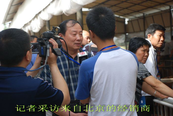 dvubb 按此在新窗口浏览图片