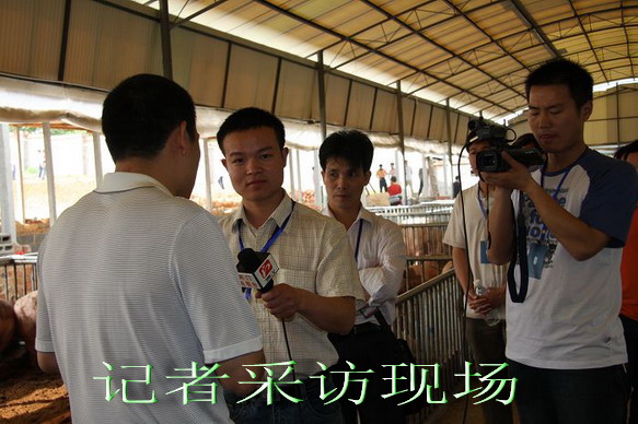 dvubb 按此在新窗口浏览图片