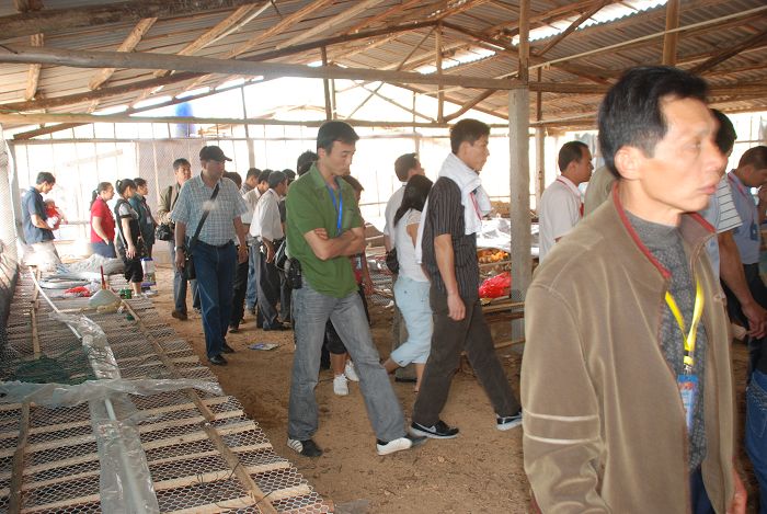 dvubb 按此在新窗口浏览图片