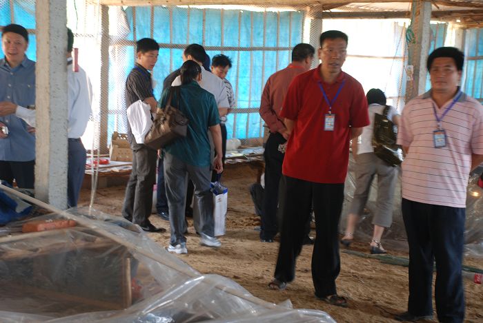 dvubb 按此在新窗口浏览图片