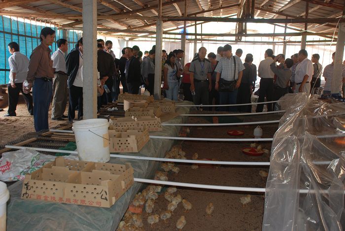 dvubb 按此在新窗口浏览图片