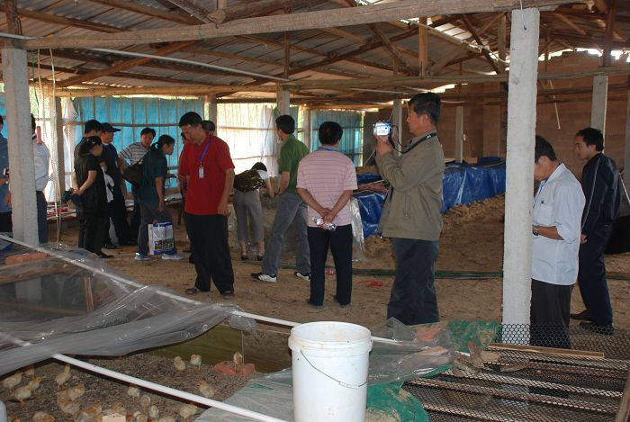 dvubb 按此在新窗口浏览图片