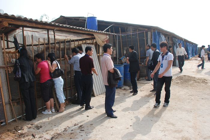 dvubb 按此在新窗口浏览图片