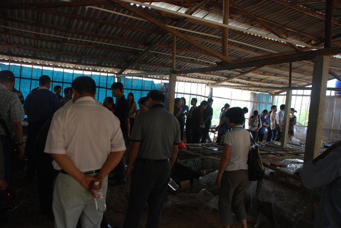 dvubb 按此在新窗口浏览图片