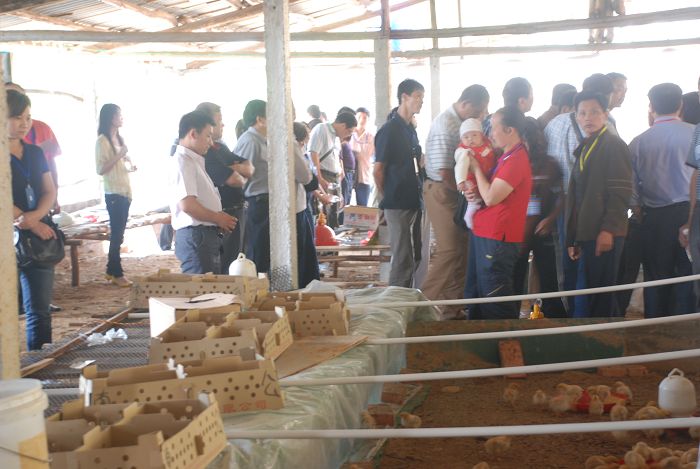 dvubb 按此在新窗口浏览图片