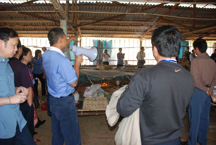 dvubb 按此在新窗口浏览图片