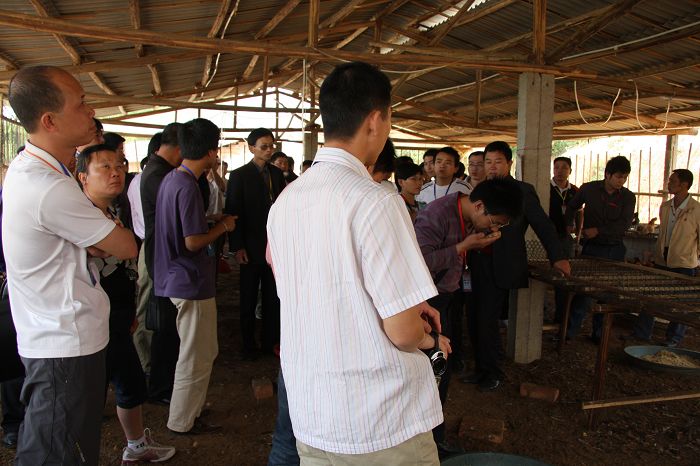 dvubb 按此在新窗口浏览图片