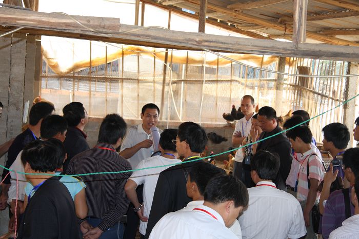 dvubb 按此在新窗口浏览图片