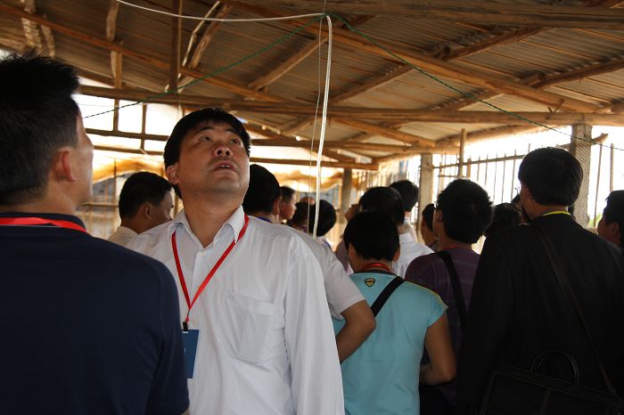 dvubb 按此在新窗口浏览图片