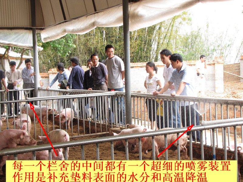 dvubb 按此在新窗口浏览图片